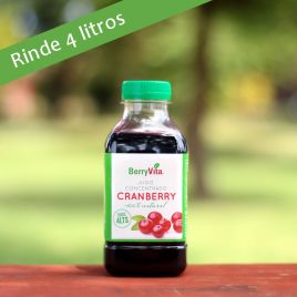 Jugo Concentrado de Cranberry endulzado con azúcar 450 cc