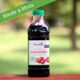 Jugo Concentrado de Cranberry c/Maqui y endulzado con azúcar 1 lt.