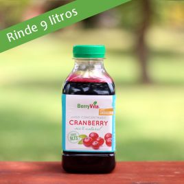 Jugo Concentrado de Cranberry 450 cc endulzado con sucralosa